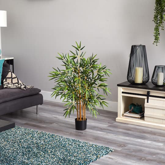3ft. Potted Bambusa Bamboo Tree